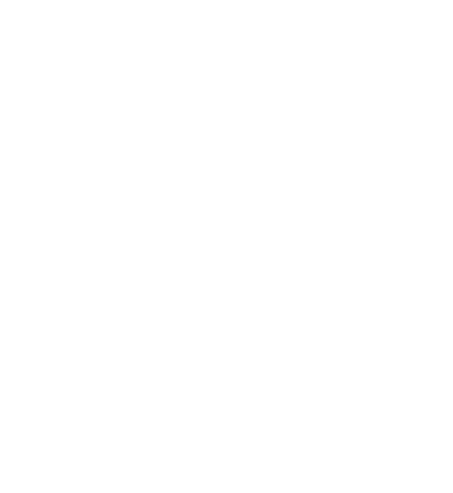 オワリイチノミヤ商店街